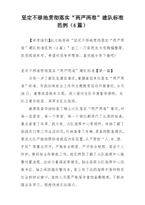 坚定不移地贯彻落实“两严两准”建队标准范例（4篇）