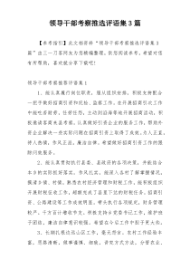 领导干部考察推选评语集3篇