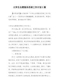 大学生志愿服务西部工作计划3篇