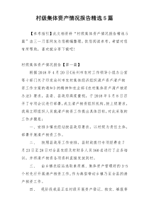 村级集体资产情况报告精选5篇