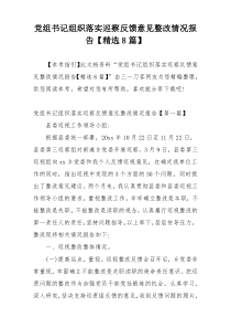 党组书记组织落实巡察反馈意见整改情况报告【精选8篇】