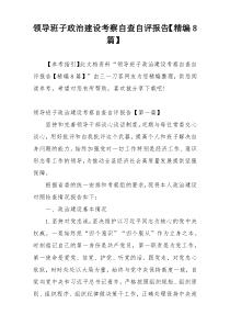 领导班子政治建设考察自查自评报告【精编8篇】