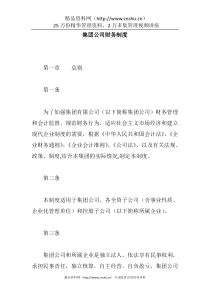 集团公司财务制度(1)
