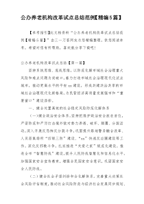 公办养老机构改革试点总结范例【精编5篇】