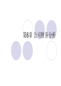 第6章_公司财务分析