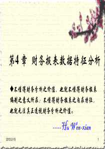 第4章财务报表数据特征分析