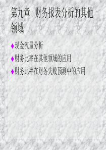 第9章  财务报表分析的其他领域