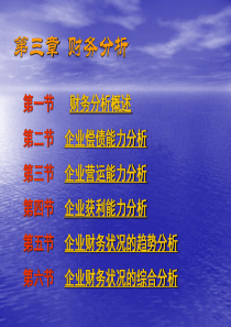 第九章财务分析1