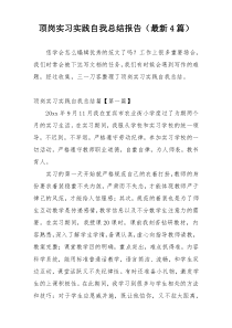 顶岗实习实践自我总结报告（最新4篇）