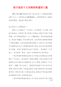 班子成员个人对照材料通用5篇