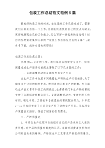 包装工作总结范文范例5篇