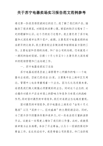 关于苏宁电器卖场实习报告范文范例参考