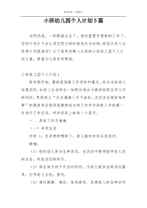小班幼儿园个人计划5篇