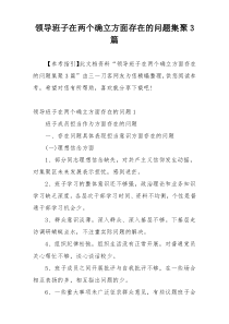 领导班子在两个确立方面存在的问题集聚3篇