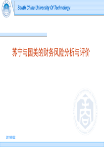 苏宁与国美的财务风险分析与评价