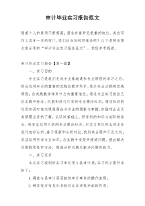 审计毕业实习报告范文