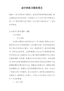 会计的实习报告范文