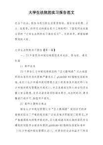 大学生法院的实习报告范文