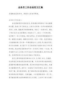 业务员工作总结范文汇集