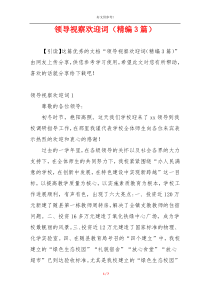 领导视察欢迎词（精编3篇）