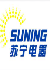 苏宁电器__财务报表分析
