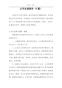 公司自查报告（8篇）