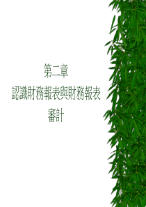 认识财务报表与财务报表审计(ppt 44页)aah
