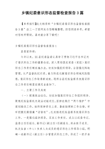 乡镇纪委意识形态监督检查报告3篇