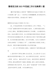 整理党支部2023年党建工作计划集聚3篇