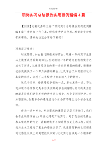 顶岗实习总结报告实用范例精编4篇
