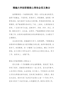 精编大学挂职锻炼心得体会范文集合