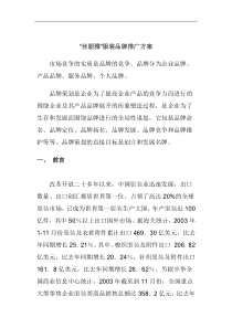 “丝丽雅”服装品牌推广方案