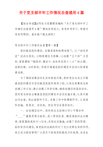 关于党支部半年工作情况自查通用4篇