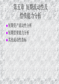 财务报表分析5