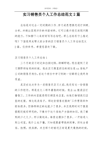 实习销售员个人工作总结范文2篇