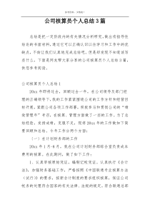 公司核算员个人总结3篇