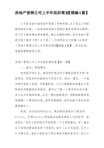 房地产营销公司上半年组织策划【精编4篇】