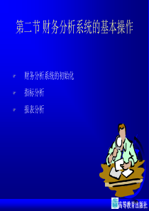 财务分析系统的基本操作