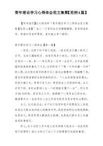 青年理论学习心得体会范文集聚【范例4篇】