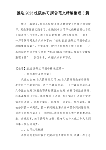 推选2023法院实习报告范文精编整理3篇