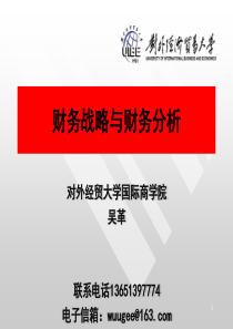 财务战略与财务分析（幻灯片）
