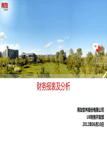 财务报表及分析