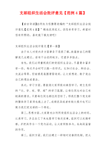 支部组织生活会批评意见【范例4篇】