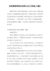 试用期辞职报告范例2023【热选4篇】