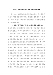 在2023年的党建引领乡村振兴典型经验材料