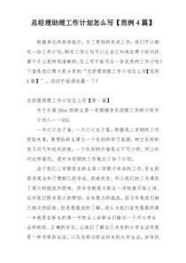 总经理助理工作计划怎么写【范例4篇】