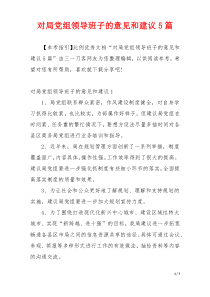 对局党组领导班子的意见和建议5篇