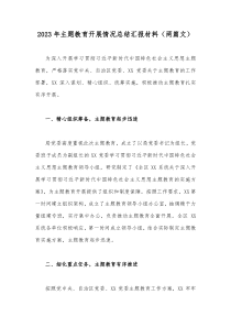 2023年主题教育开展情况总结汇报材料（两篇文）
