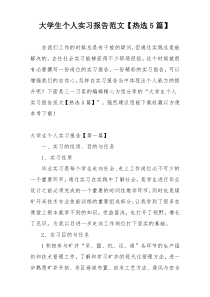 大学生个人实习报告范文【热选5篇】
