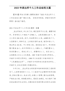 2023年派出所个人工作总结范文篇